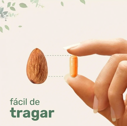 Cápsulas de Cúrcuma Curcumina 6-en-1 para Bienestar y Confort Diario (60 Capsulas)